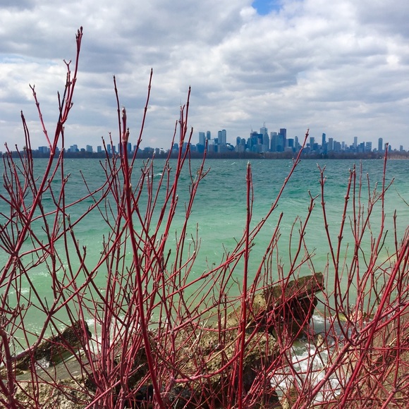 Meet your Posher gado_gado - Picture 8 of 10